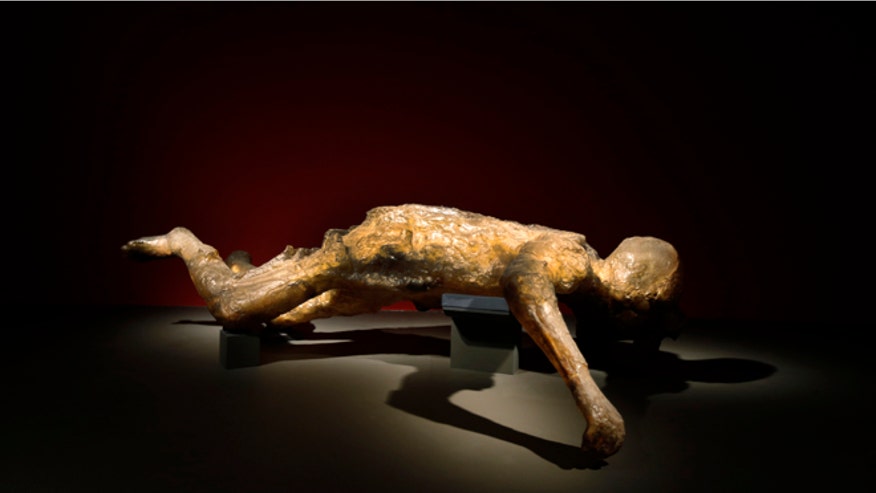 Britain Pompeii exhibit.jpg